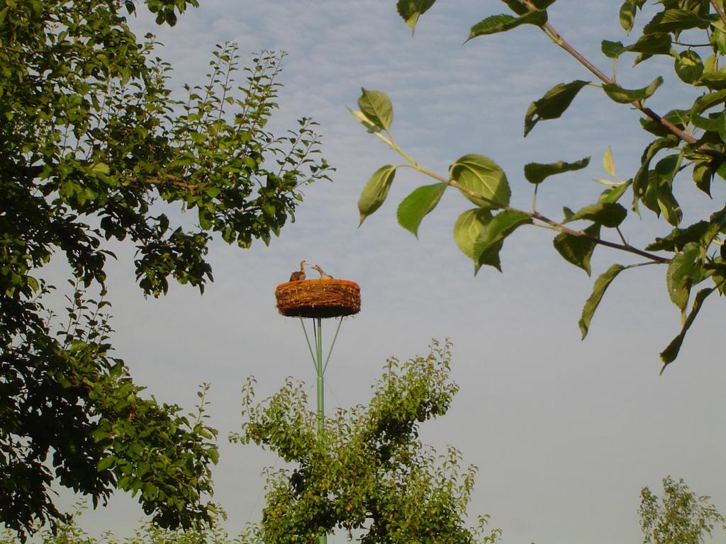 Bed And Breakfast Klein Groenbergen Leersum Εξωτερικό φωτογραφία